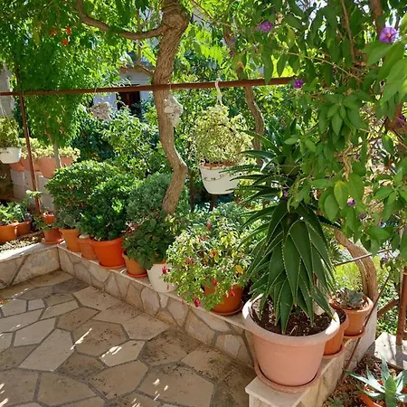 Flower App Apartment Jelsa (Hvar)